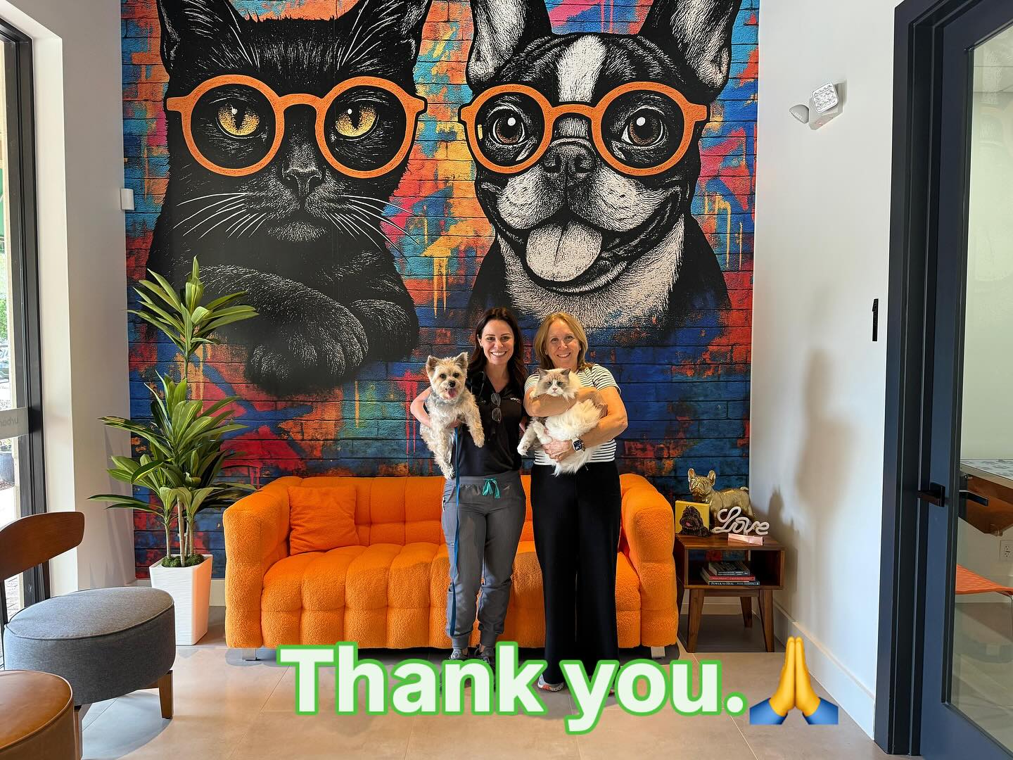 Urban Pawz - Os cuidados médicos mais completos e avançados para o seu pet